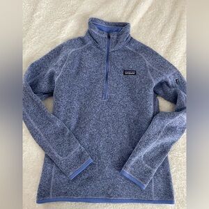Patagonia Light Blue Fleece Pullover